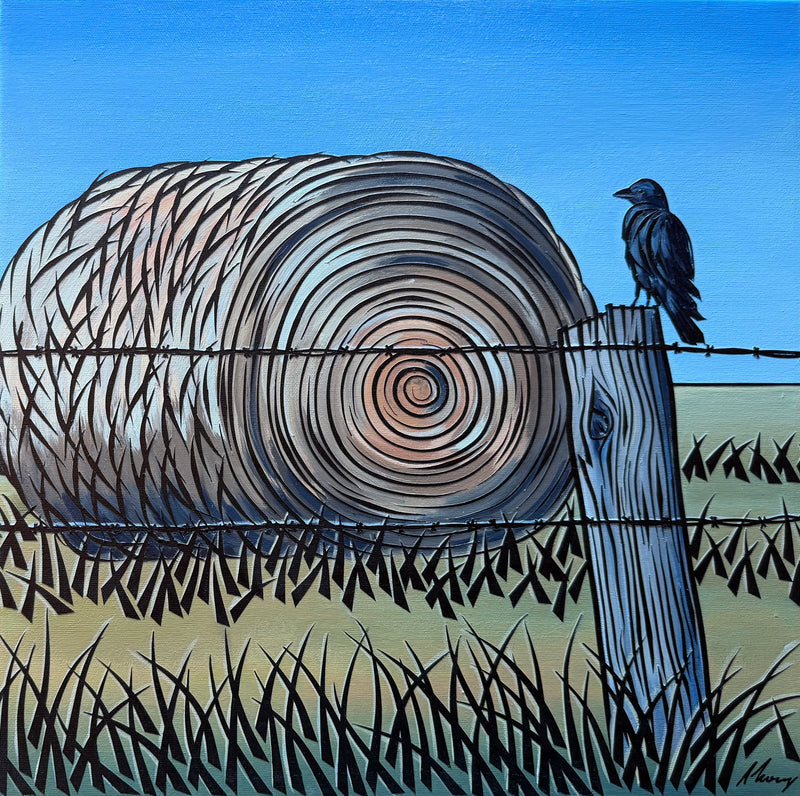 Amanda Maglis-Long — A Crow's Eye View
