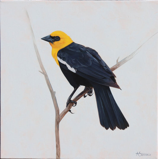 Ashley Somerville - Golden Acrylic on 16 x 16 Gallery Depth Canvas