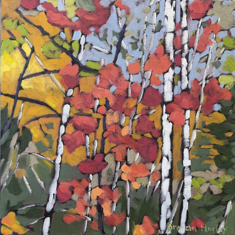 Brenda Hurley — Birch Series I