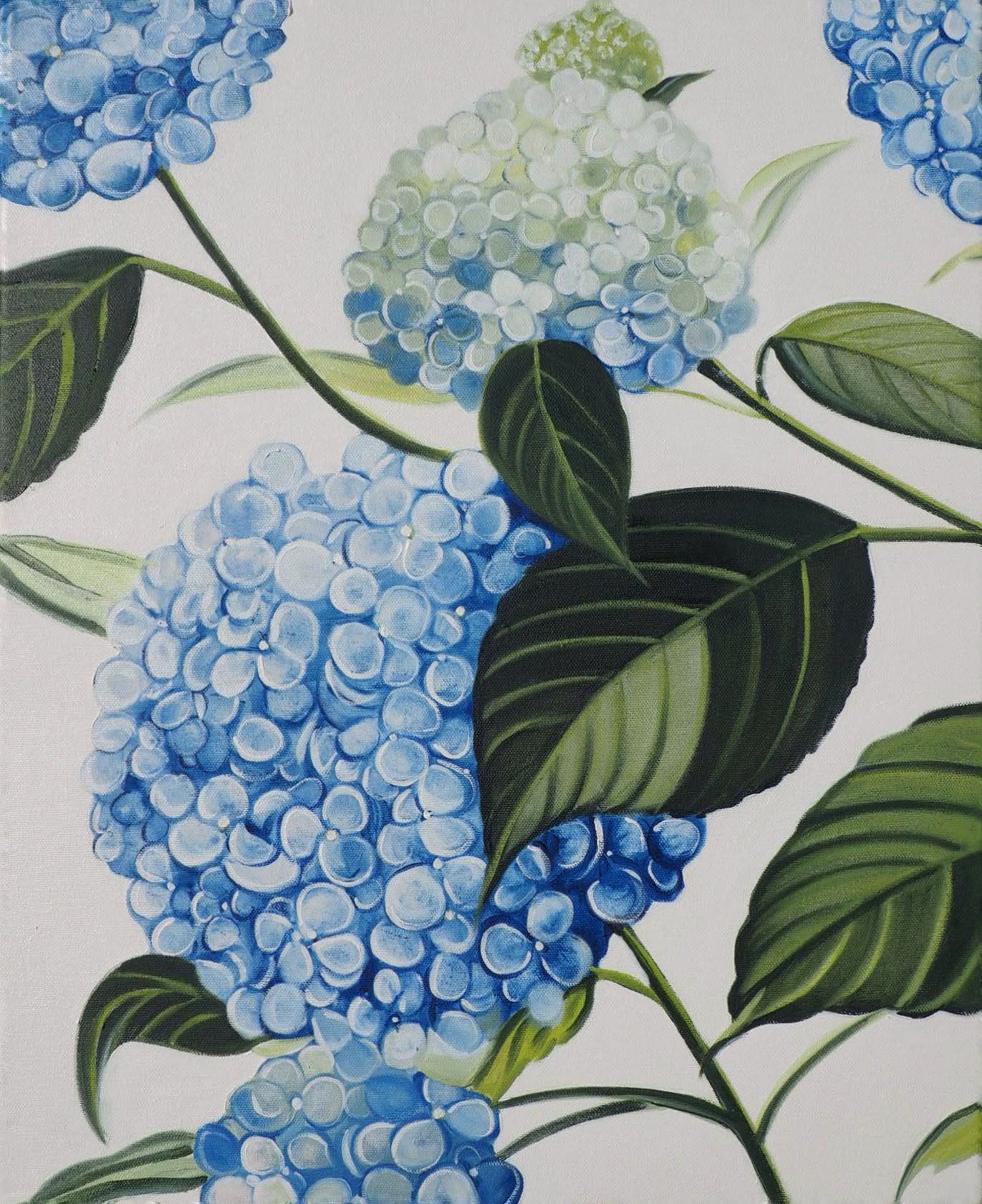 Laura Dick - Hydrangea Duet Left Oil on 16 x 20 Gallery Depth Canvas