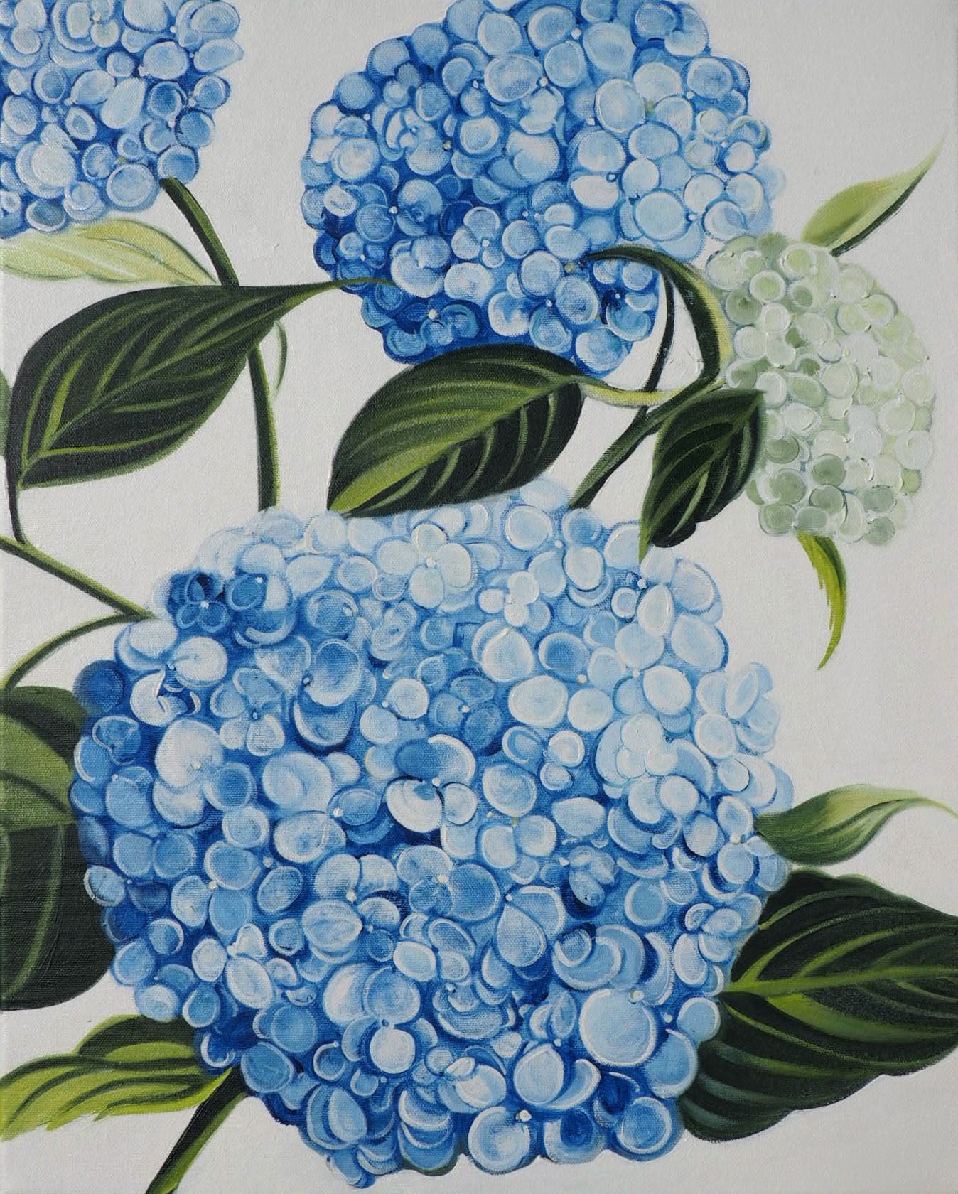 Laura Dick - Hydrangea Duet Right Oil on 16 x 20 Gallery Depth Canvas
