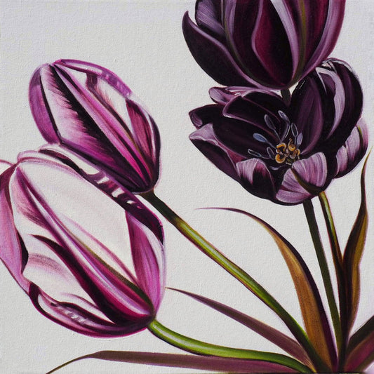 Laura Dick - Tulip Duet Left Oil on 16 x 16 Gallery Depth Canvas