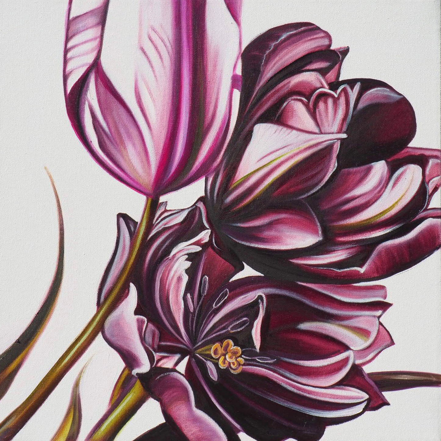 Laura Dick - Tulip Duet Right Oil on 16 x 16 Gallery Depth Canvas