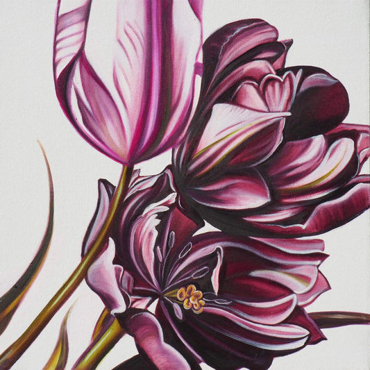 Laura Dick - Tulip Duet Right Oil on 16 x 16 Gallery Depth Canvas
