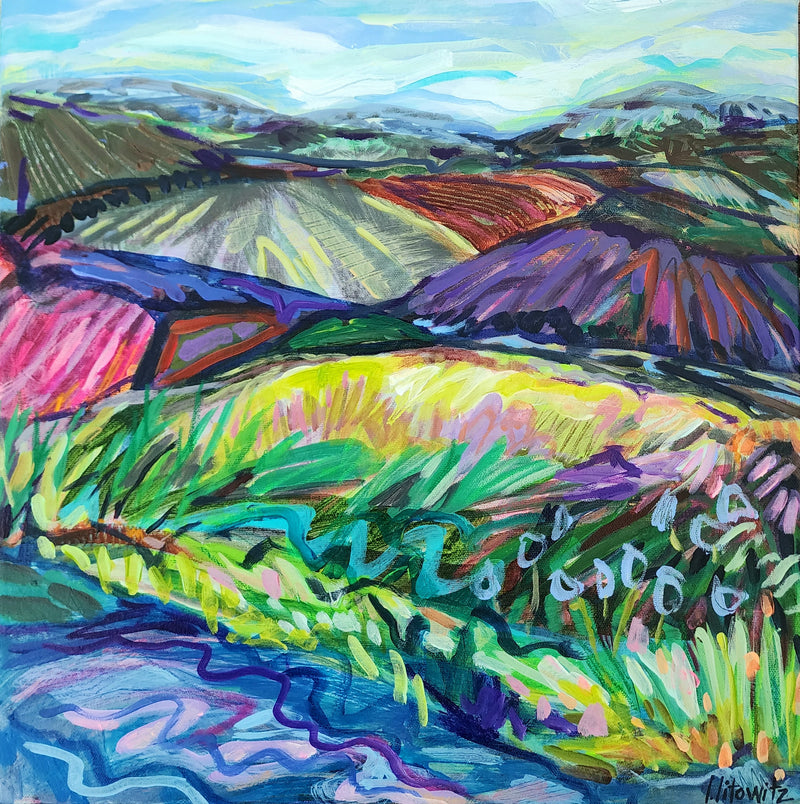 Lisa Litowitz — Hills and Valleys