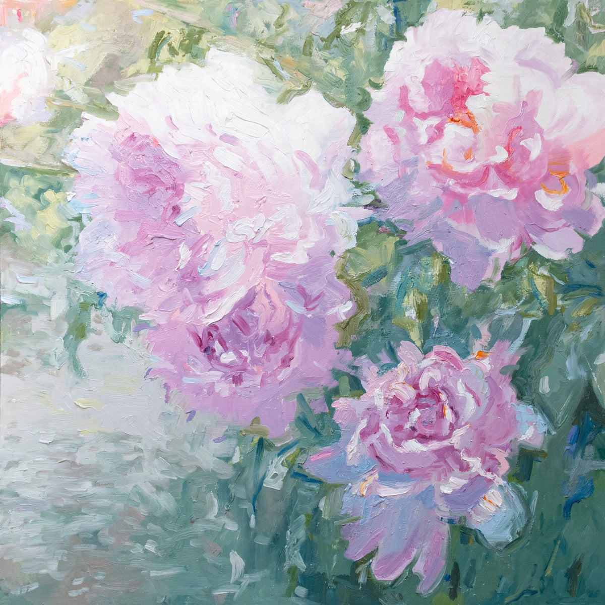Olya Wright — Light in Petals