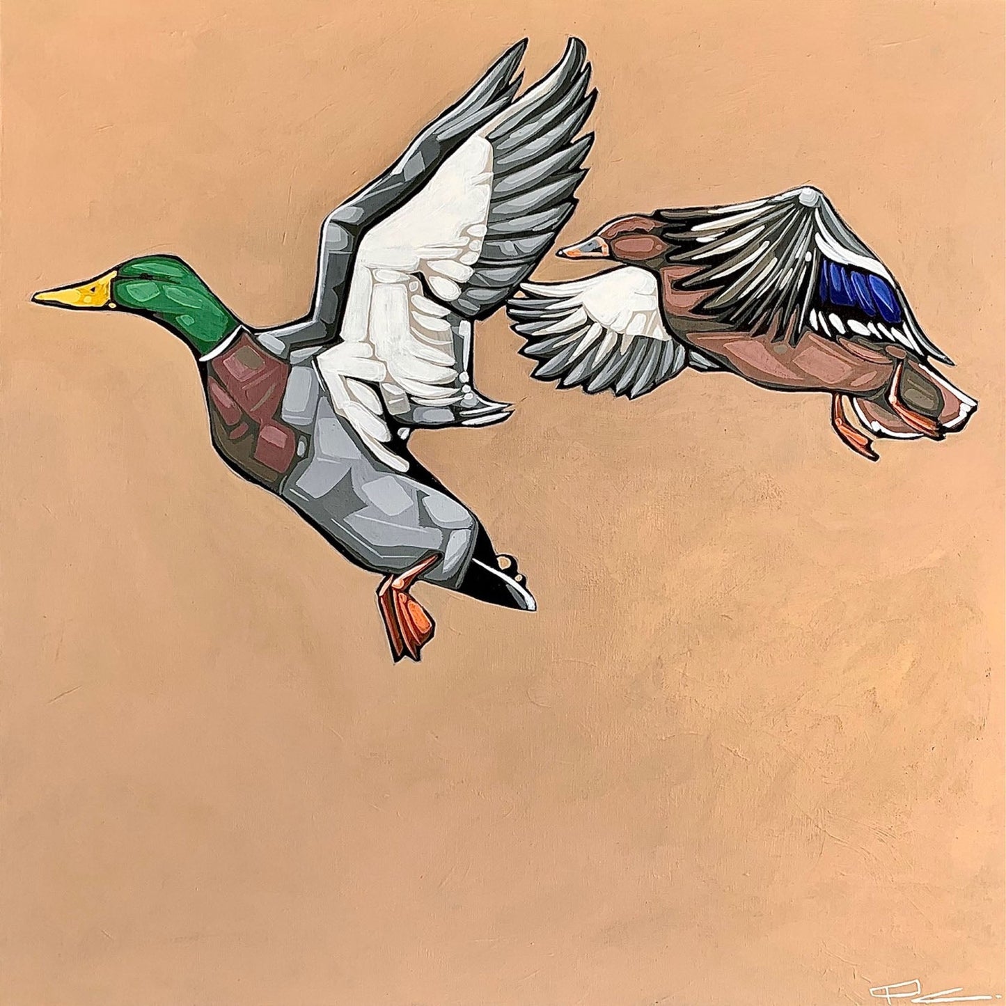 Paul Jacob Chapman - Mallards Acrylic on  16 x 16 Gallery Panel
