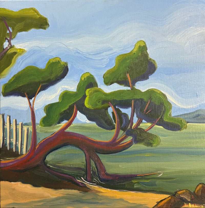 Robin Light — Tree on West Beach