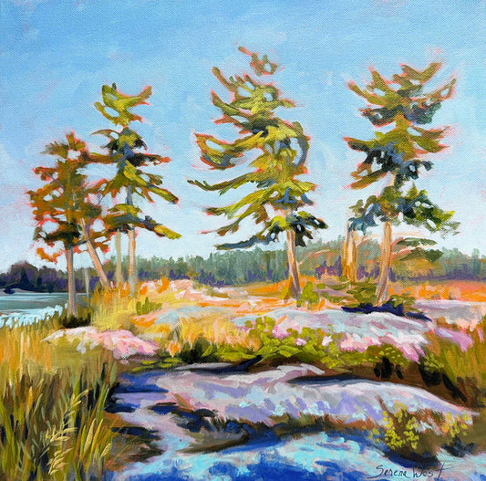 Serena West - Georgian Winds Acrylic on  16 x 16 Gallery Depth Canvas