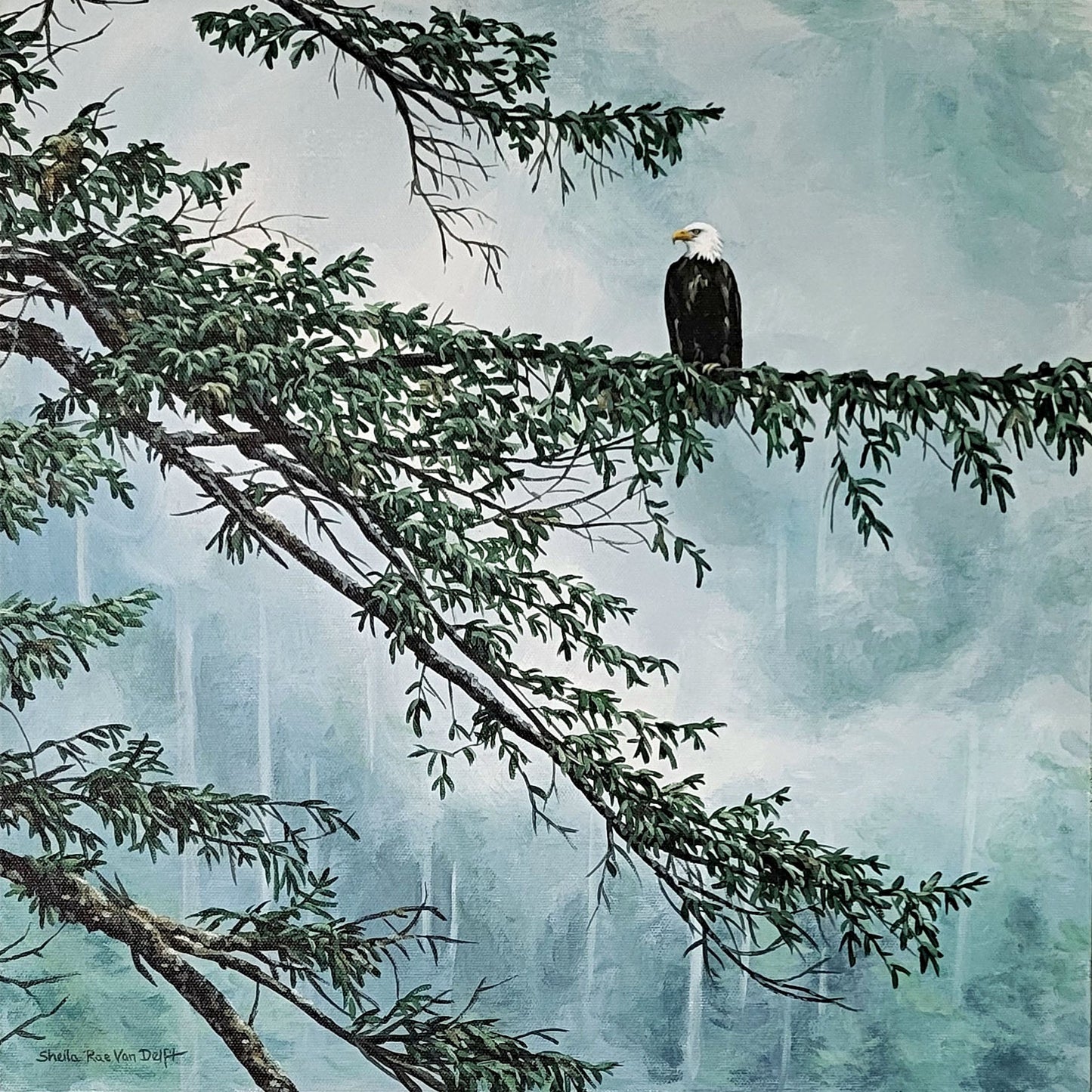 Sheila Rae Van Delft - In the Rain Forest Acrylic on 16 x 16 Deep Canvas