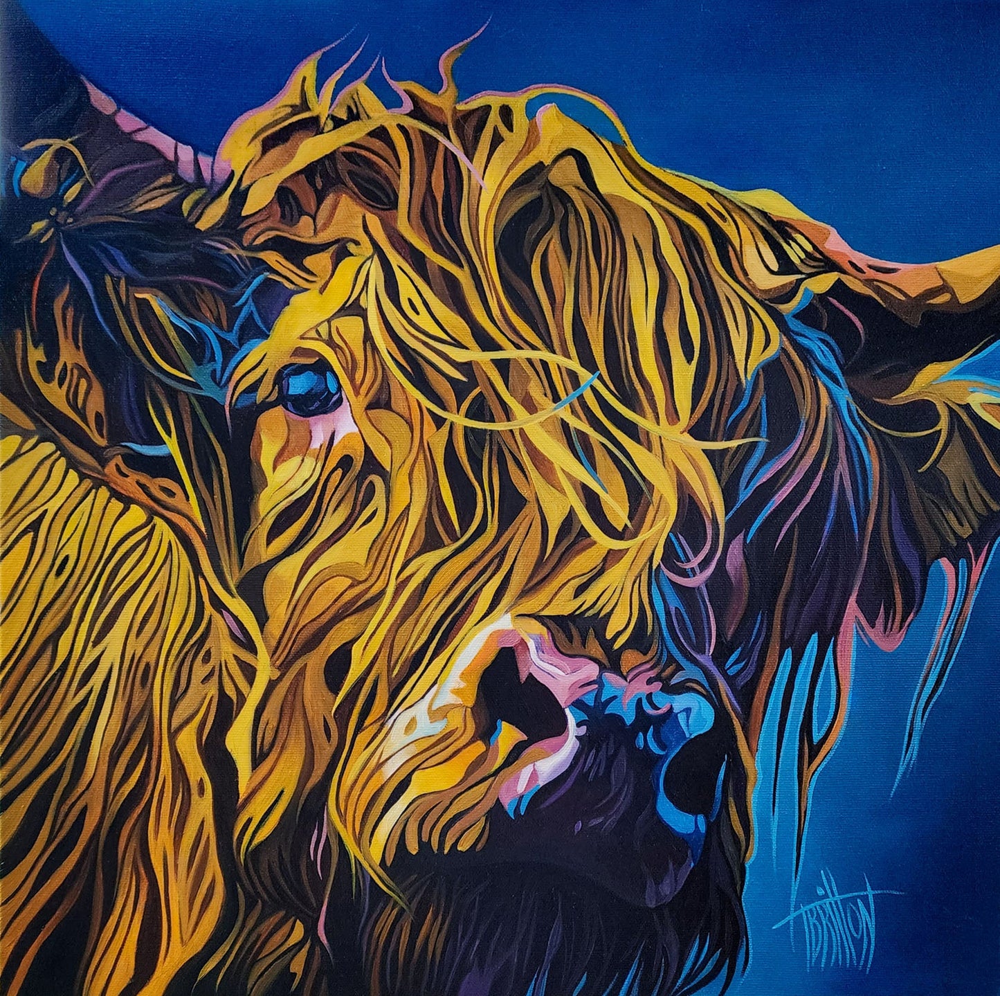 Tracey Britton - Hamish Oils on 16 x 16 Gallery Depth Canvas